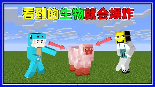 趣味生活爆料怎么做的视频,轻松制作短视频的实用指南 第2张 趣味生活爆料怎么做的视频,轻松制作短视频的实用指南 第2张